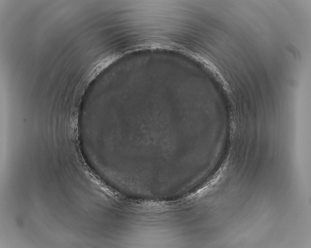 X0000111870977200908201213