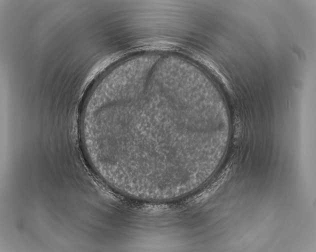 X0000111870978200908201213