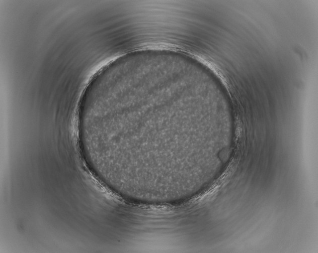 X0000111870979200908201213