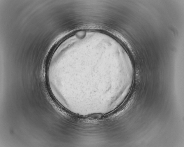 X0000111870981200908201213