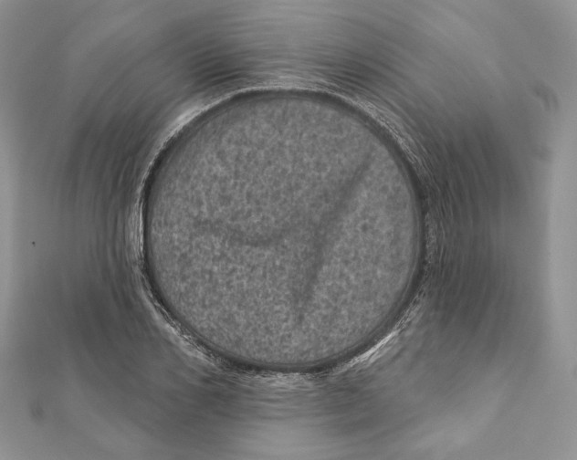 X0000111870982200908201213