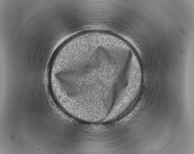 X0000111870983200908201213