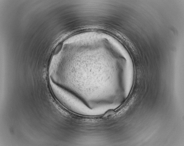 X0000111870985200908201213