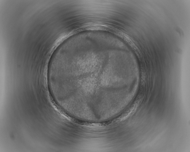 X0000111870986200908201213