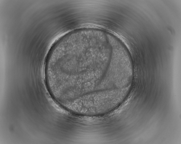 X0000111870987200908201213