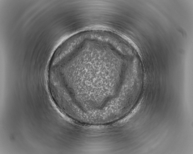 X0000111870989200908201213