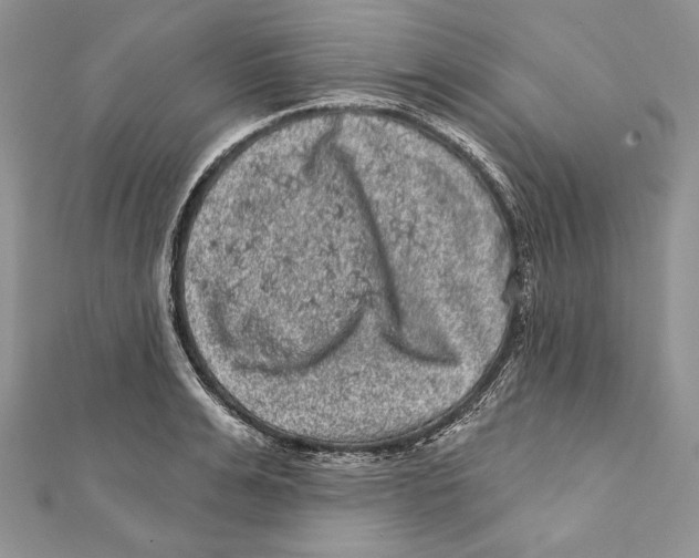 X0000111870991200908201213