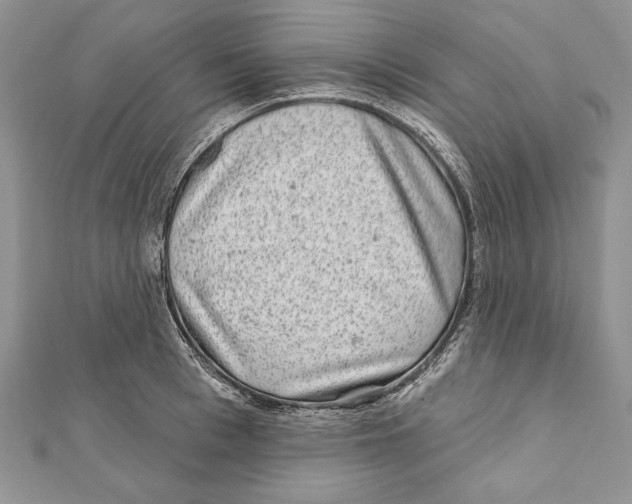 X0000111870993200908201213