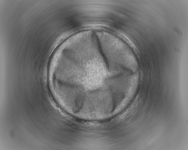 X0000111870994200908201213