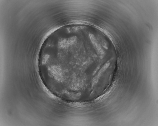 X0000111870995200908201213