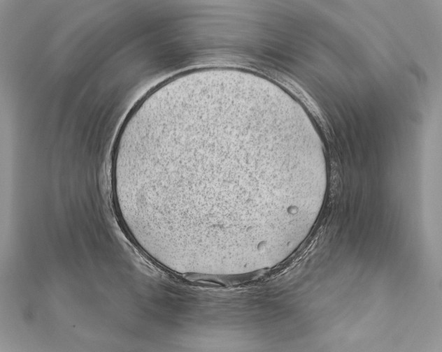 X0000111870996200908201213