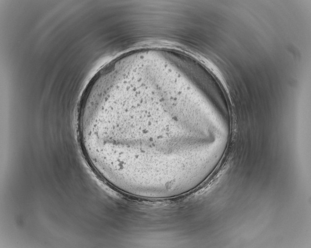 X0000111870997200908201213