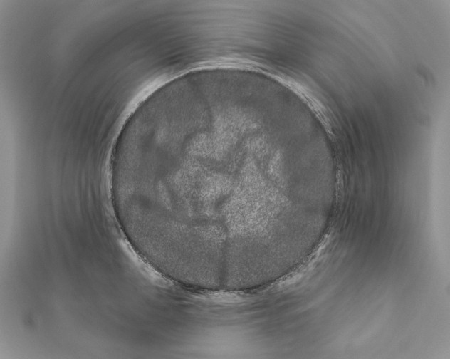 X0000111870998200908201213