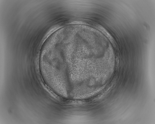 X0000111871002200908201213