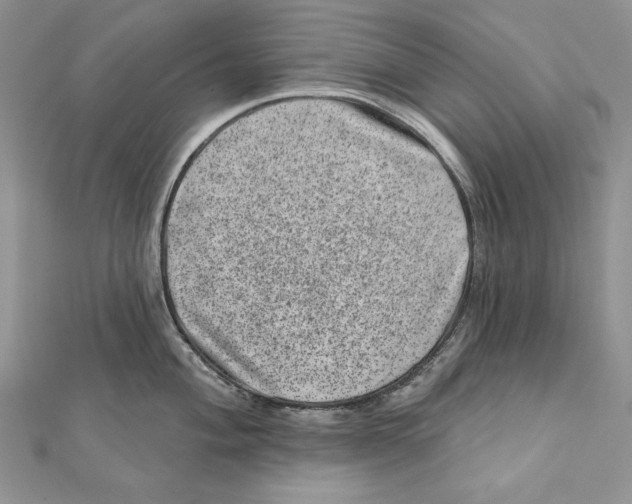 X0000111871004200908201213