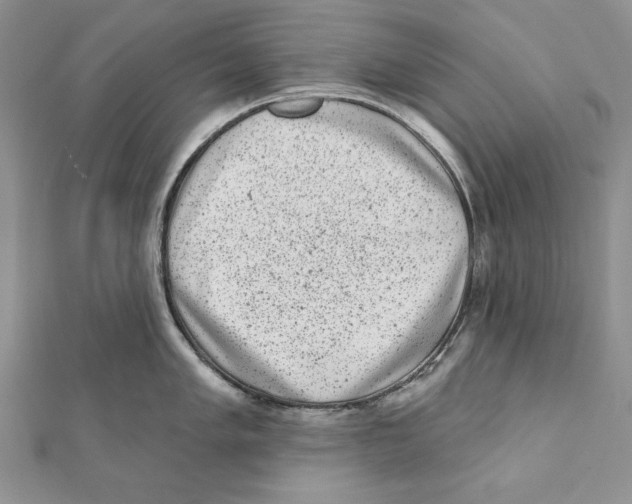 X0000111871005200908201213