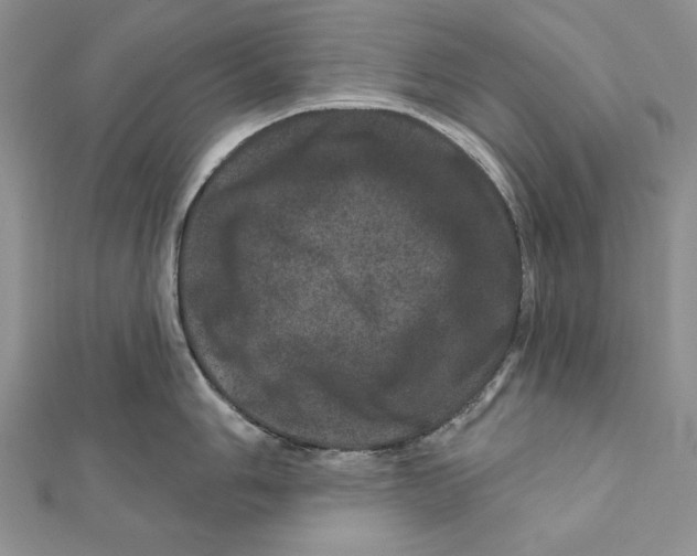 X0000111871006200908201213