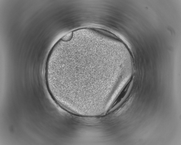 X0000111871007200908201213