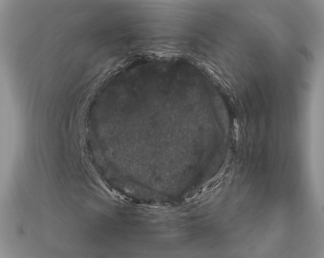 X0000111871009200908201212