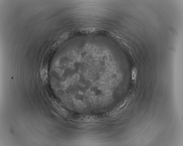 X0000111871011200908201212