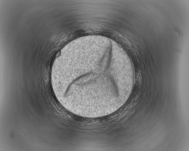 X0000111871012200908201212