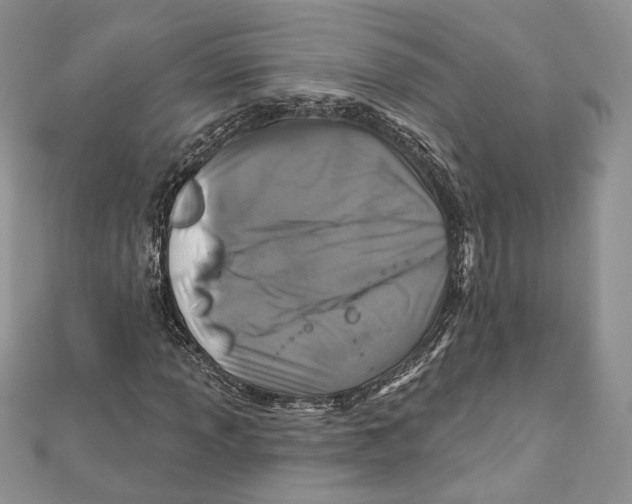 X0000111871013200908201212