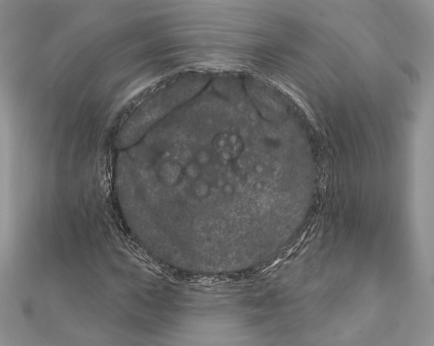 X0000111871015200908201212