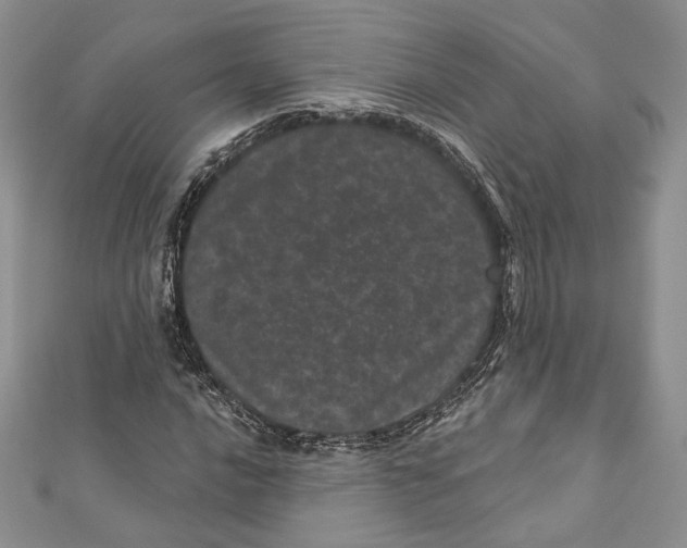 X0000111871016200908201212