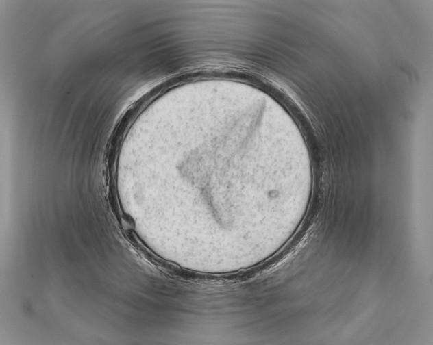 X0000111871018200908201212