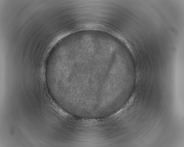 X0000111871019200908201212