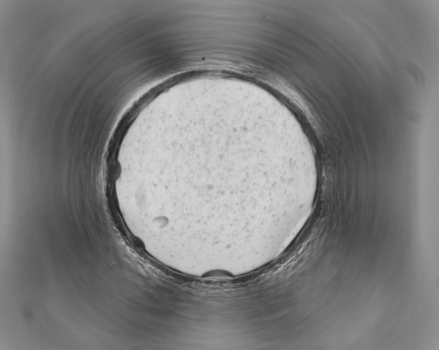 X0000111871020200908201212