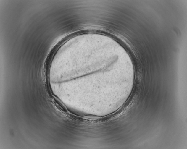 X0000111871022200908201212