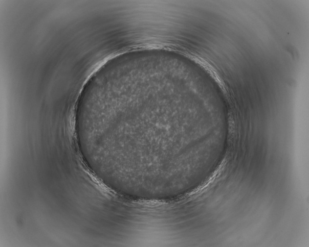 X0000111871023200908201212