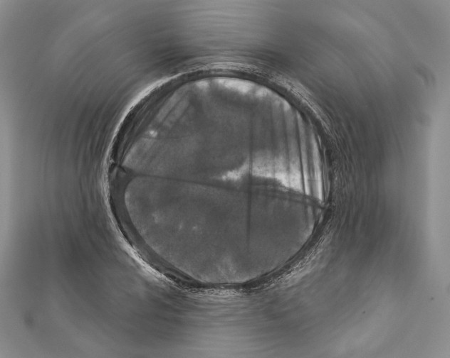 X0000111871024200908201212