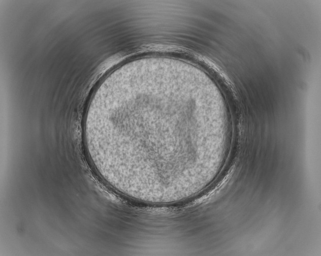 X0000111871025200908201212