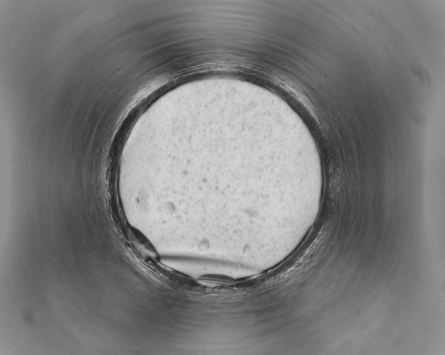 X0000111871026200908201212