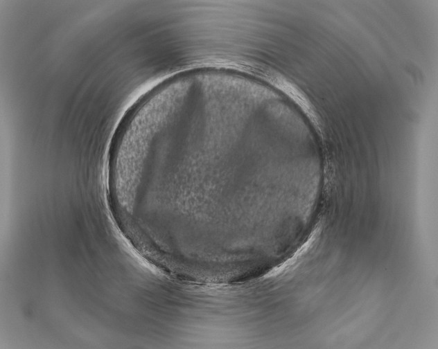 X0000111871028200908201212