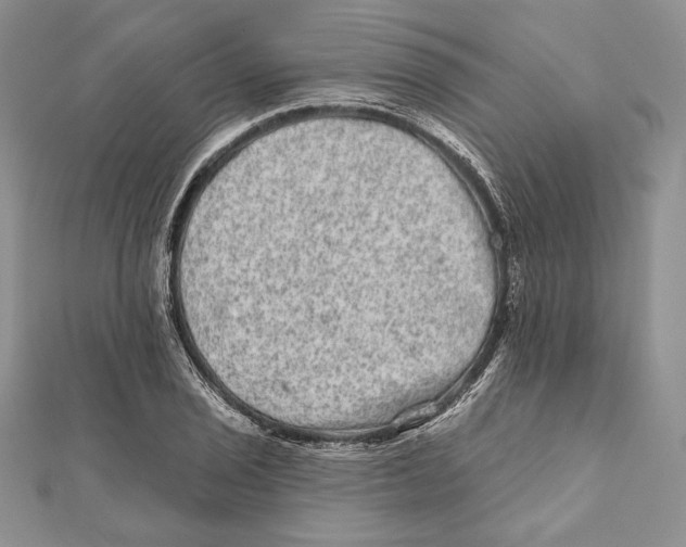 X0000111871029200908201212