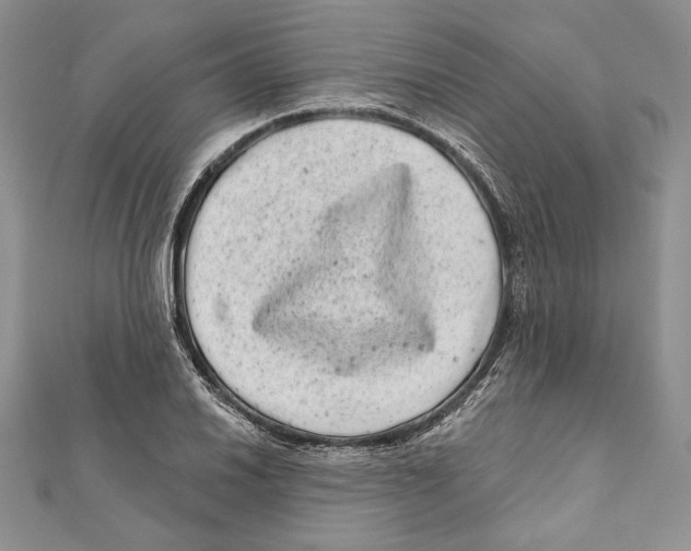 X0000111871030200908201212