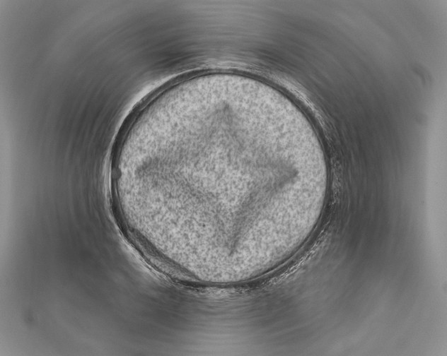 X0000111871032200908201212