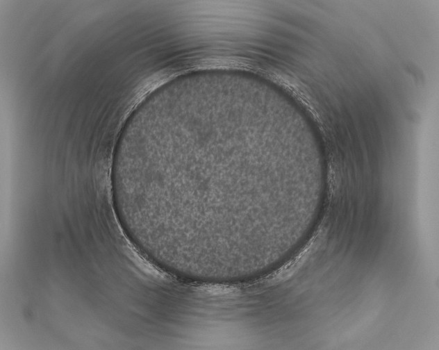 X0000111871033200908201212