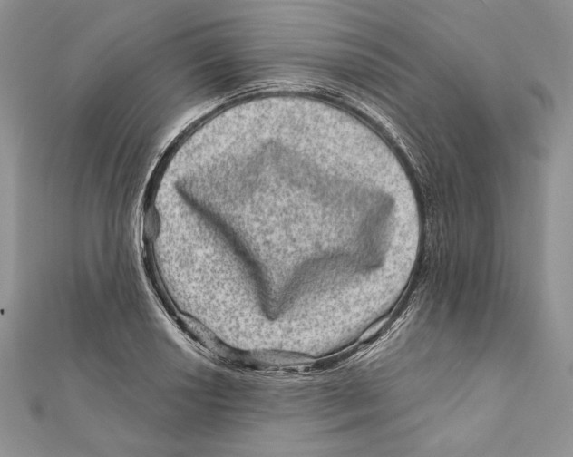 X0000111871034200908201212