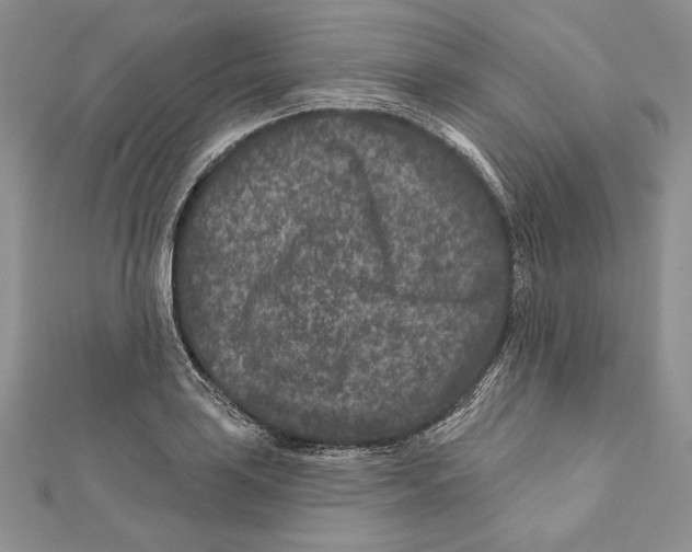 X0000111871035200908201212