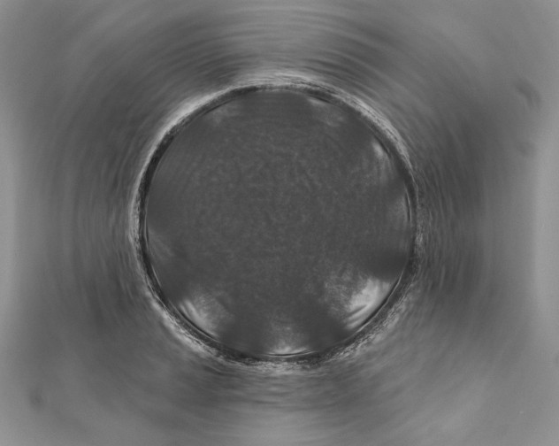 X0000111871037200908201212