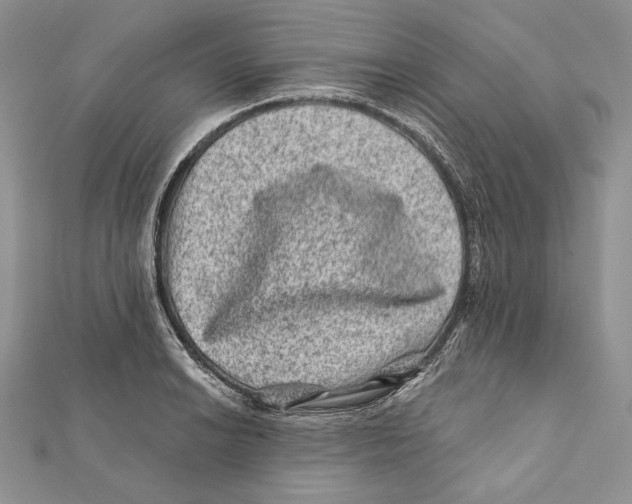 X0000111871038200908201212