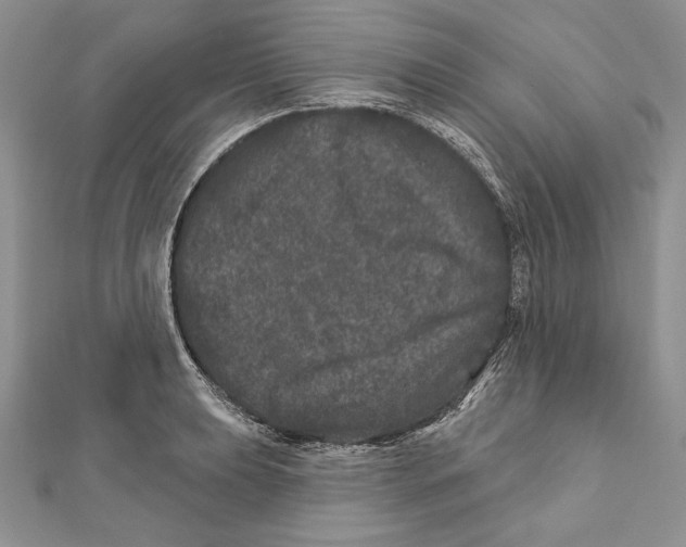 X0000111871039200908201212