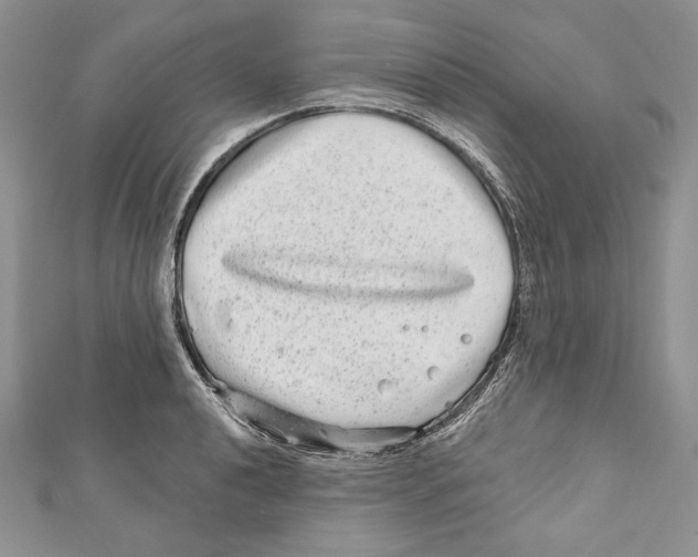 X0000111871040200908201212