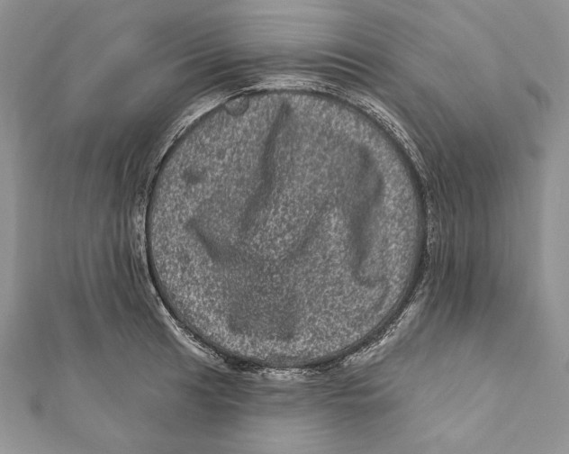 X0000111871041200908201212