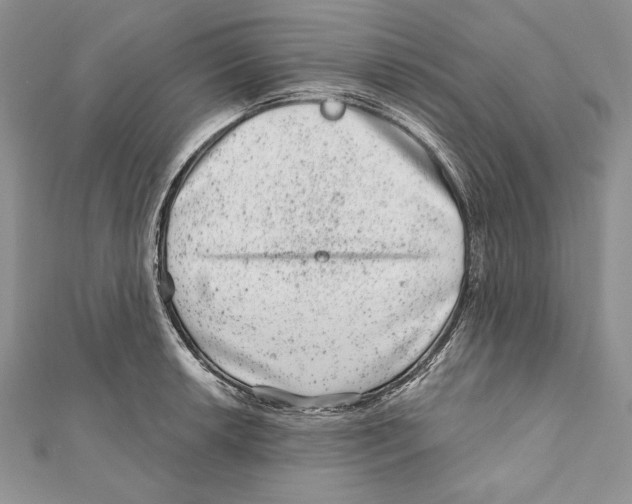 X0000111871042200908201212