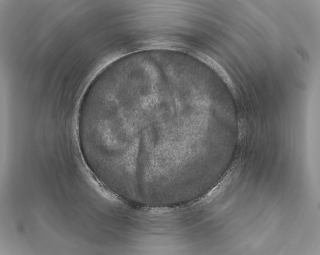 X0000111871043200908201212